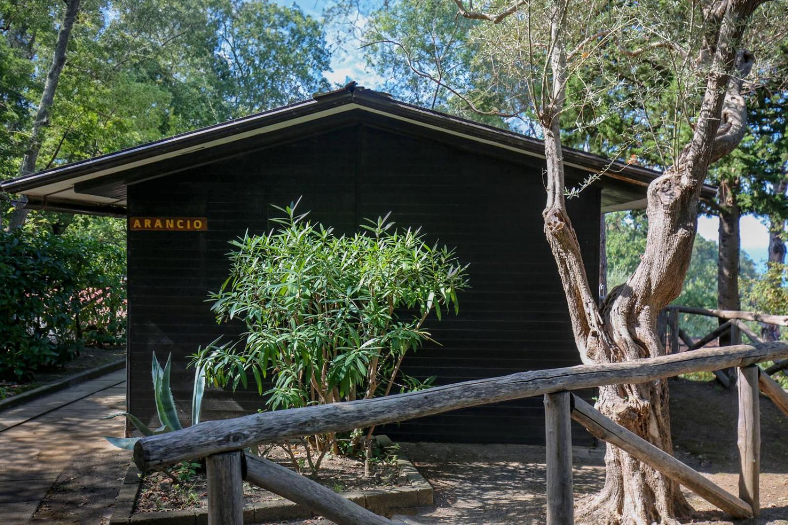 Village Camping Santa Fortunata - Campogaio Sorrento Exterior foto