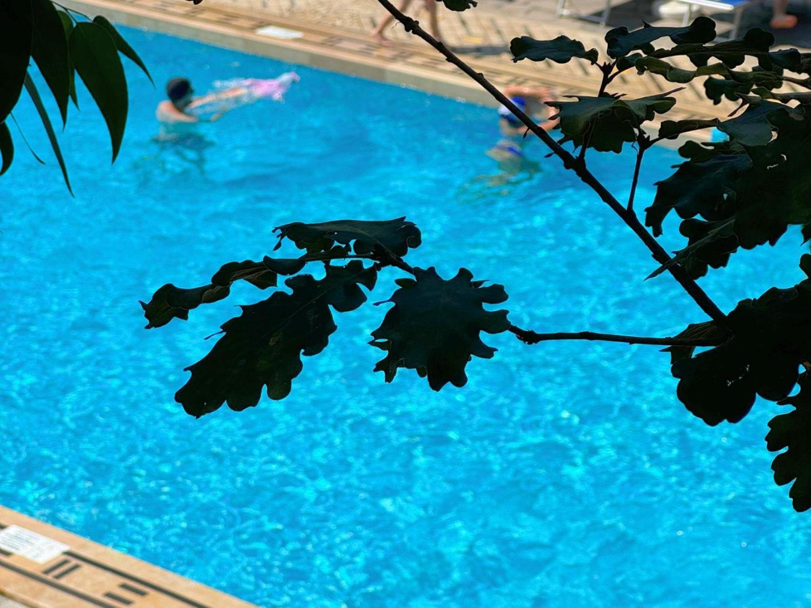 Village Camping Santa Fortunata - Campogaio Sorrento Exterior foto
